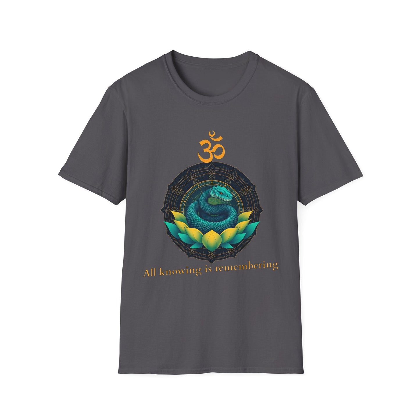 "All Knowing Is Remembering — The Inner Coil Tee" Printify