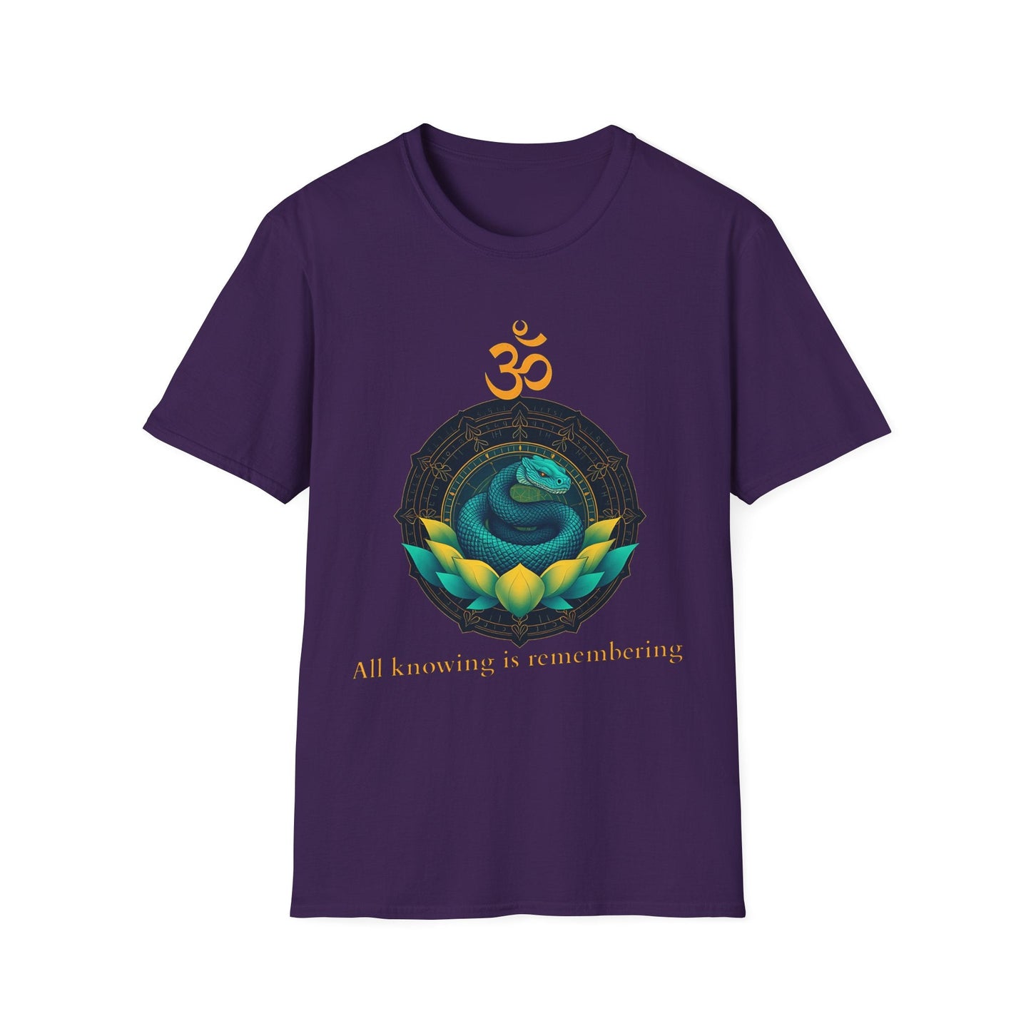 "All Knowing Is Remembering — The Inner Coil Tee" Printify