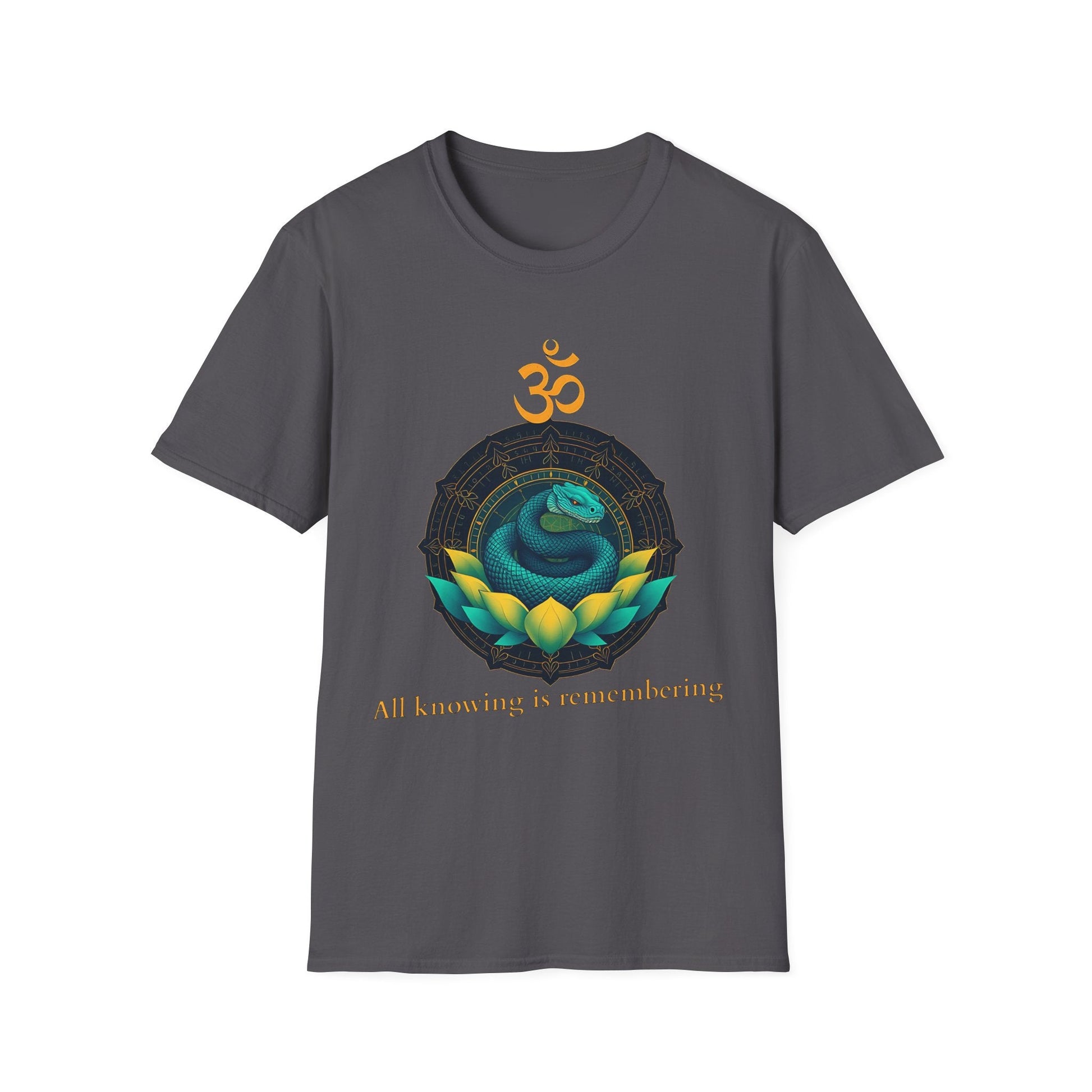 "All Knowing Is Remembering — The Inner Coil Tee" Printify