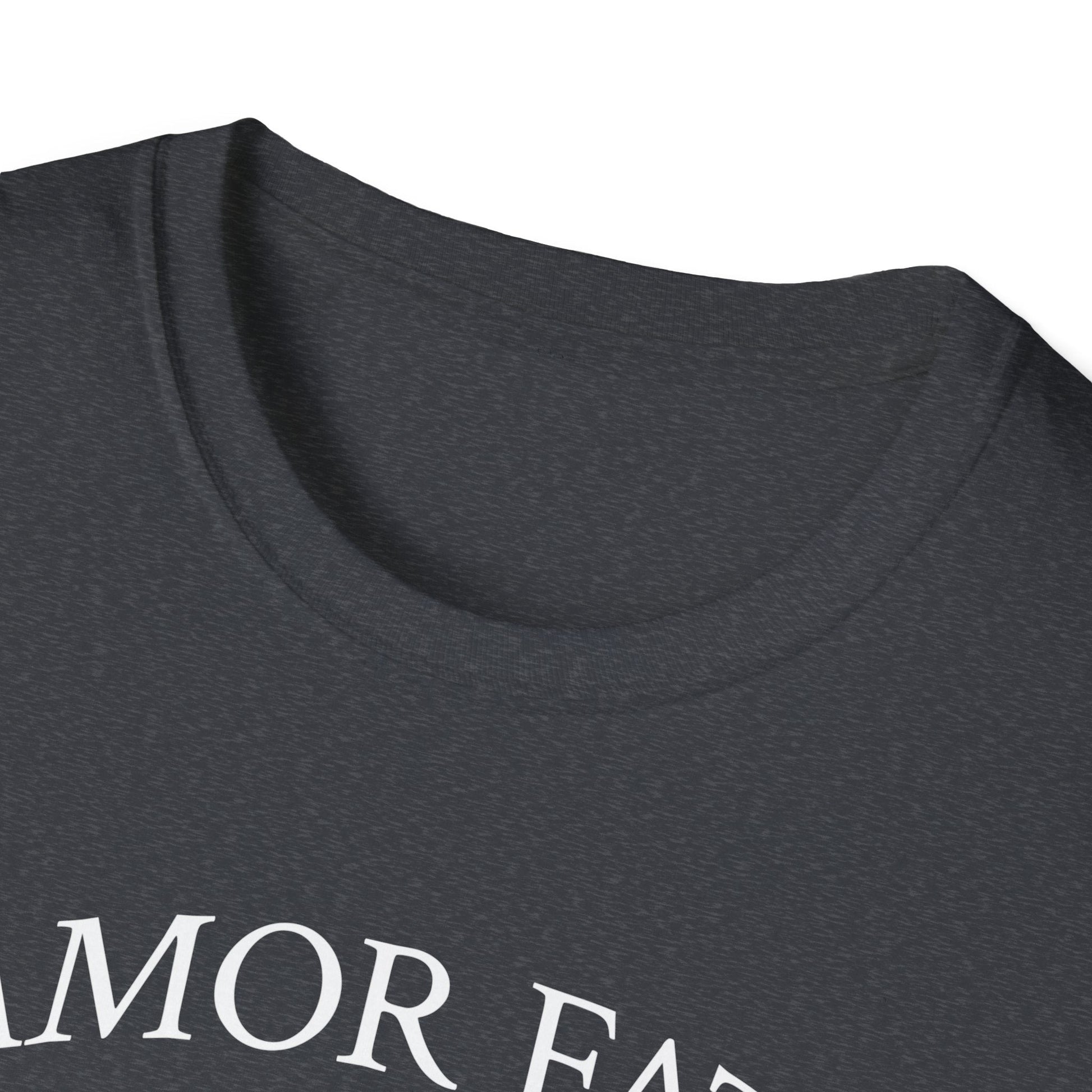 "Become the Fire — Amor Fati Transformation Tee" Printify