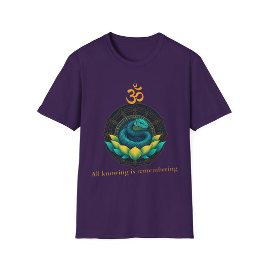 "All Knowing Is Remembering — The Inner Coil Tee" Printify